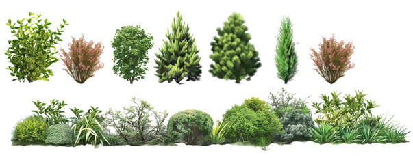 Set of bushes and shrubs and coniferous trees, beautiful green spaces, on white background, realistic, bushes for garden, trees for fence, realistic, 3D - obrazy, fototapety, plakaty