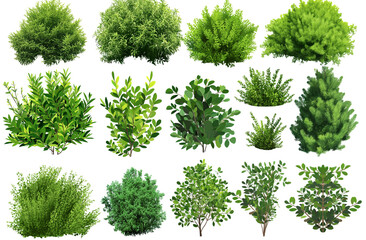 Set of fluffy beautiful green bushes of different shapes and sizes isolated on transparent background, realistic, 3D - obrazy, fototapety, plakaty