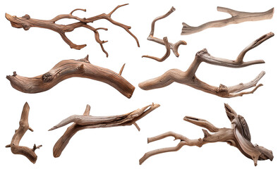 Set of dry tree branches or driftwood on white background, realistic, beautiful, 3D
 - obrazy, fototapety, plakaty