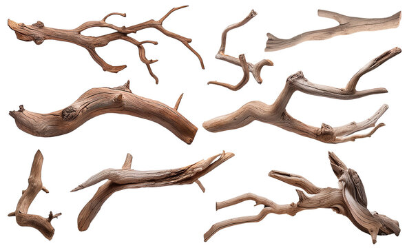 Set of dry tree branches or driftwood on white background, realistic, beautiful, 3D
