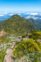 Scenic landscape on Pico Ruivo mountain in Madeira, Portugal - 775804785