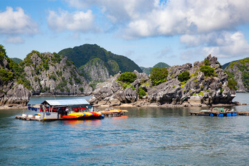 beautiful limestone rocks and secluded beaches in Ha Long bay, UNESCO world heritage site, Vietnam - 775808315