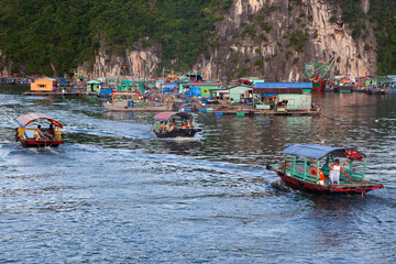 beautiful limestone rocks and secluded beaches in Ha Long bay, UNESCO world heritage site, Vietnam - 775808512