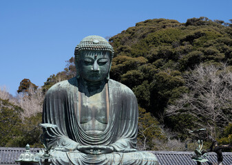 The Great buddha in Kamakura