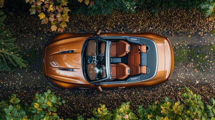 Bird's eye view of modern convertible car parked amidst lush greenery, showcasing open roof and...