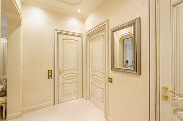 standard room interior apartment. room doors, renovation corridor lobby entrance hall