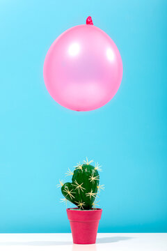 Pink balloon hovering over a cactus in a pot