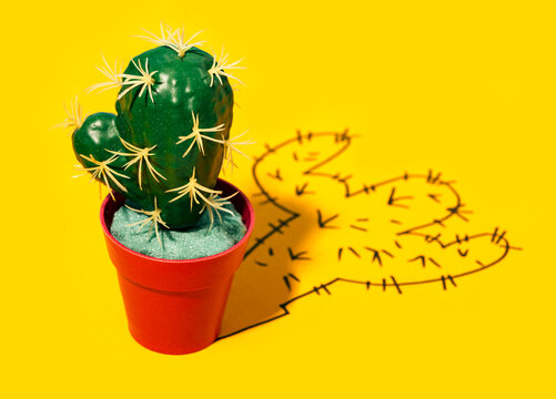 Cactus with its shadow as if it had muscles on a yellow background
