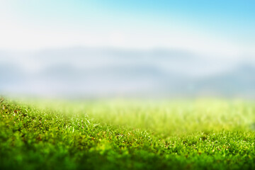 background of a green lawn made of moss with a mountain landscape and blue sky. with focal line for product presentation