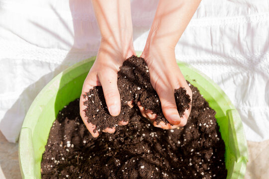 Hands holding rich garden soil above a green bucket
