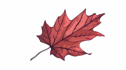 Hand drawn red autumn leaf. Vector illustration. Flat