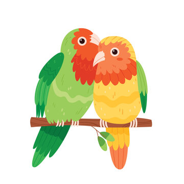 Two parrots, parrots are inseparable, cute birds on a tree branch.