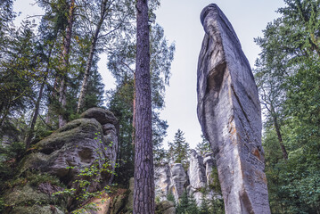 Rock formation called Sugar Loaf Adrspach-Teplice Rocks nature park, Czech Republic