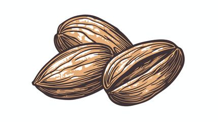 Pecan. Vector hand drawn nuts. Coloring pages with di