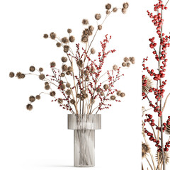 Bouquet of dried flowers with Thistle Ilex branches in a vase isolated on white background
