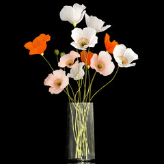  Bouquets of wildflowers with poppy in a glass vase isolated on black background