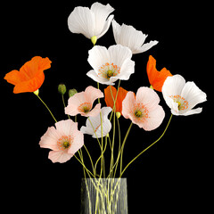  Bouquets of wildflowers with poppy in a glass vase isolated on black background