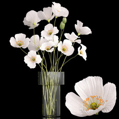  white Bouquets of wildflowers with poppy in a glass vase isolated on black background