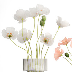  Bouquets of wildflowers with poppy in a glass vase isolated on white background