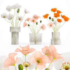  Bouquets of wildflowers with poppy in a glass vase isolated on white background