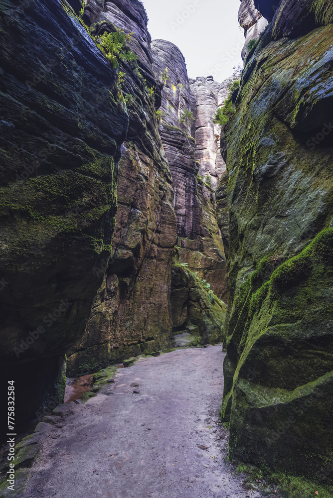 Canvas Prints Trail in Adrspach-Teplice Rocks Nature Park near Teplice nad Metuji town, Czech Republic