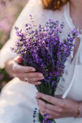 Fototapeta premium Female hold bouquet flowers and collect lavender at sunset. Girl in lavender flowers field. A woman walks on lavender field. Enjoy the floral glade, summer nature. Natural cosmetics concept. Closeup.