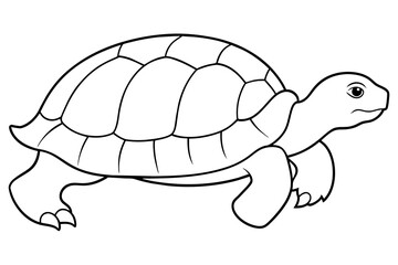 turtle on the beach & turtle--vector-illustration 
