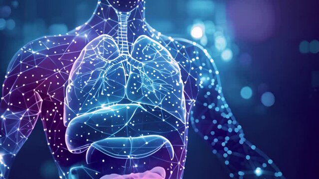 X ray heart,organs anatomy. graphic of man&rsquo;s body x-ray with digital science interface of skeleton and bones scan for biological infographics. Medical 4k video. blue effect