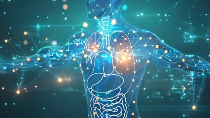 X ray heart,organs anatomy. graphic of man’s body x-ray with digital science interface of skeleton and bones scan for biological infographics. Medical 4k video. blue effect - Powered by Adobe