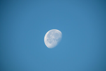 The Moon in daytime in a blue sky has something beautiful - 775837910