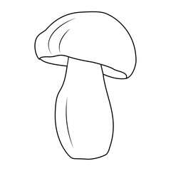 Bolete Mushrooms. Hand drawn Line art. Black and white isolated on white background. Coloring page for kids and adults. Vector illustration.