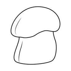 Bolete Mushrooms. Hand drawn Line art. Black and white isolated on white background. Coloring page for kids and adults. Vector illustration.