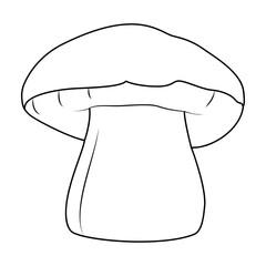 Bolete Mushrooms. Hand drawn Line art. Black and white isolated on white background. Coloring page for kids and adults. Vector illustration.