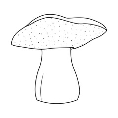 Bolete Mushrooms. Hand drawn Line art. Black and white isolated on white background. Coloring page for kids and adults. Vector illustration.