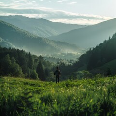 man is far away, standing in a green clearing with his back against the backdrop of mountains covered with forest. Summer, sunny day, backlight, wide angle. - obrazy, fototapety, plakaty