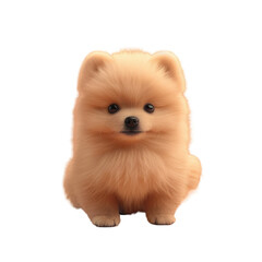 Obraz premium Pomeranian dog sitting on Transparent Background