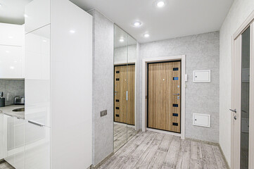 standard room interior apartment. room doors, renovation corridor lobby entrance hall