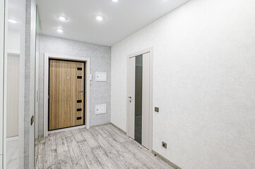 standard room interior apartment. room doors, renovation corridor lobby entrance hall