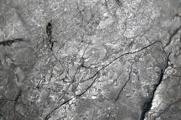 Rough Texture of a Rock Surface - 775846574