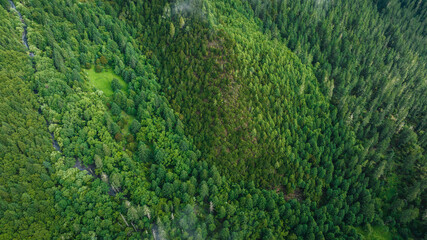 Fototapeta na wymiar Aerial view of beautiful high altitude forest mountain landscape