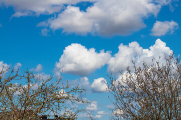 White clouds in the blue sky spring there is a place for an inscription