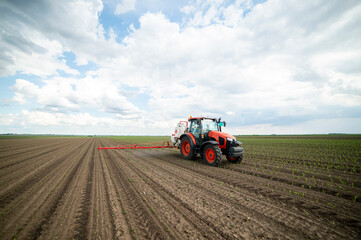 Naklejka premium Tractor spraying pesticides at corn fields