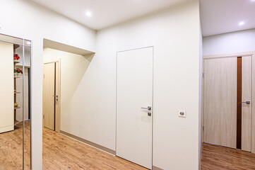 standard room interior apartment. room doors, renovation corridor lobby entrance hall