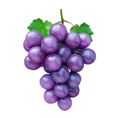 Purple grapes with green leaves on a Transparent Background