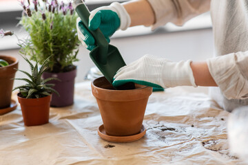 people, gardening and planting concept - close up of woman in gloves with trowel pouring soil to...