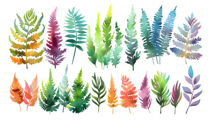 Watercolor collection of many different magical natural ferns and mosses isolated on transparent background - obrazy, fototapety, plakaty