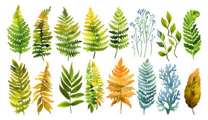 Watercolor collection of many different magical natural ferns and mosses isolated on transparent background