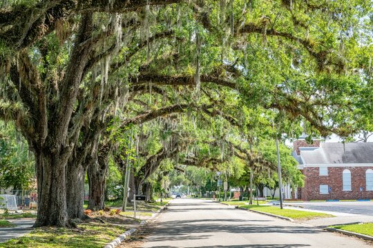 labelle, fl