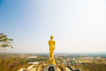 Golden buddha statue stand on mountain temple look to city - 775880738