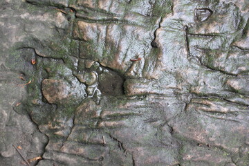 Water flowing over natural rock.